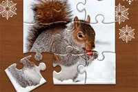 Jigsaw Puzzle X-Mas