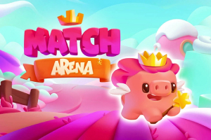 Match Arena Match Arena