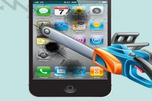 Whack the Phone Whack the Phone